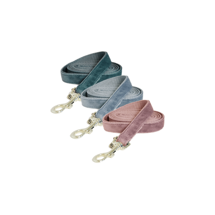 Kentucky Dogwear Hundeleine Velvet - 120 cm - Smaragd