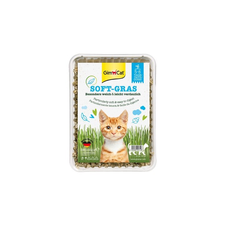 GimCat Katzengras - 150 g