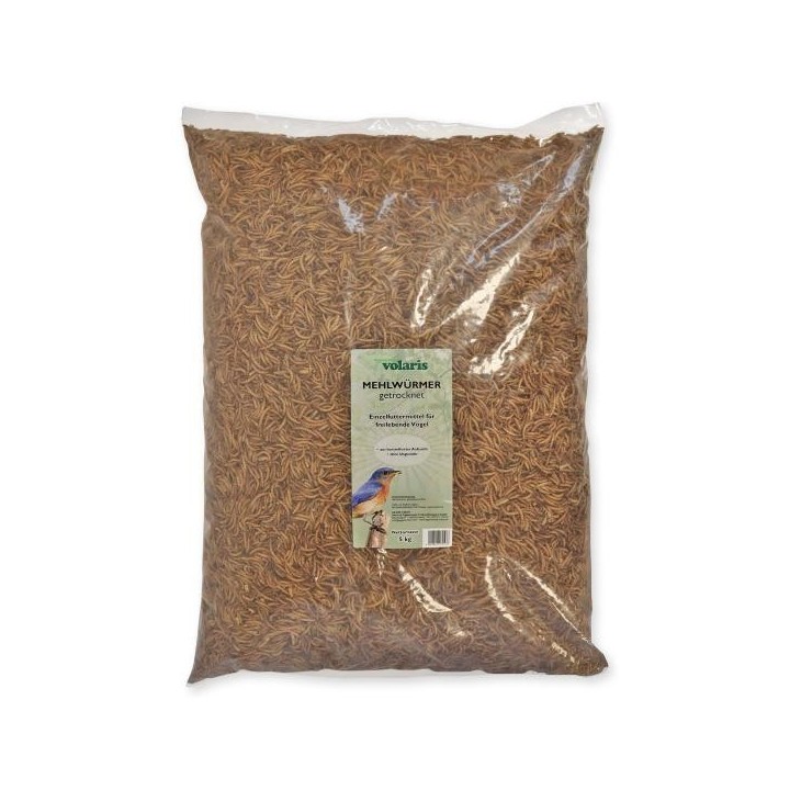 Eggersmann volaris - Mehlwürmer getrocknet 5 KG