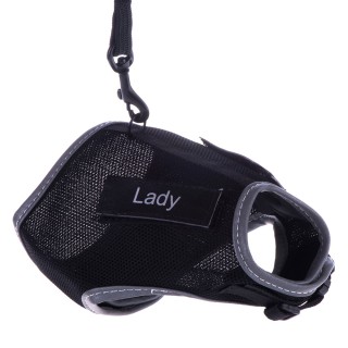 Trixie Katzengeschirr XCat mit Sticker und Leine - schwarz