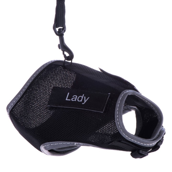 Trixie Katzengeschirr XCat mit Sticker und Leine - schwarz