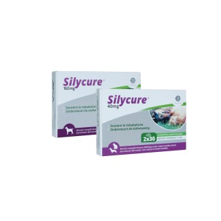Silycure 40 mg - 60 Tabletten
