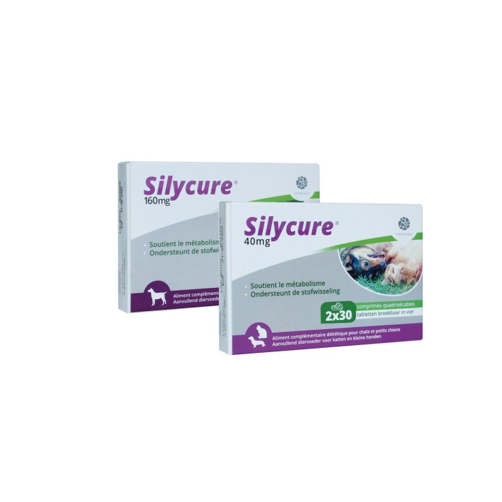 Silycure 40 mg - 60 Tabletten