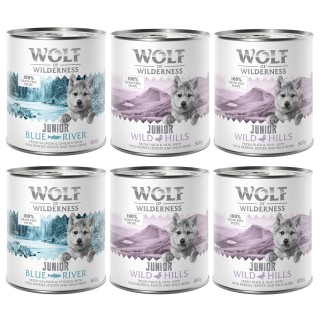 Wolf of Wilderness JUNIOR - Mixpaket - 6 x 800 g: 4x Ente & Kalb, 2x Huhn & Lachs