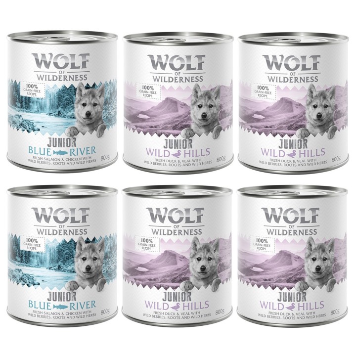 Wolf of Wilderness JUNIOR - Mixpaket - 6 x 800 g: 4x Ente & Kalb, 2x Huhn & Lachs