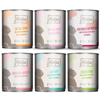 Probierpaket MjAMjAM 6 x 800 g - Mixpaket (6 Sorten)