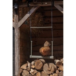 Beeztees Hühnerschaukel - 40 x 5 x 30 cm