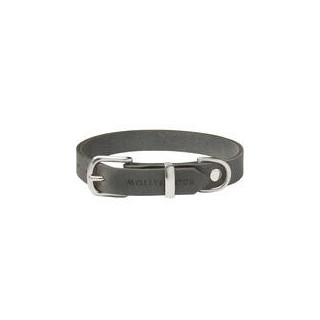 Molly &amp, Stitch Butter Leder Hundehalsband [Zeitlos Grau/Silber - M: 32 - 38 cm x  20 mm]