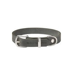 Molly &amp, Stitch Butter Leder Hundehalsband [Zeitlos Grau/Silber - M: 32 - 38 cm x  20 mm]