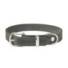 Molly &amp, Stitch Butter Leder Hundehalsband [Zeitlos Grau/Silber - M: 32 - 38 cm x  20 mm]