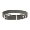 Molly &amp, Stitch Butter Leder Hundehalsband [Zeitlos Grau/Silber - L: 36 - 42 cm x 20 mm]