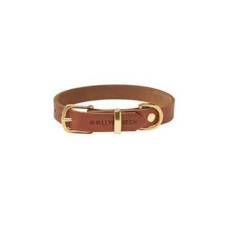 Molly &amp, Stitch Butter Leder Hundehalsband [Sahara Cognac/Gold - M: 32 - 38 cm x  20 mm]
