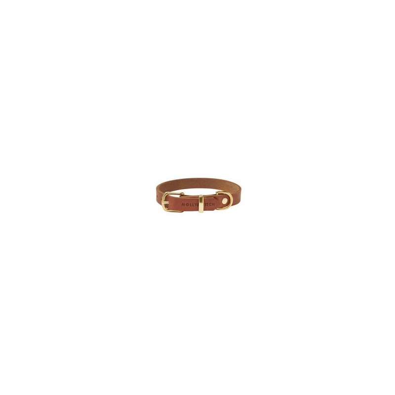 Molly &amp, Stitch Butter Leder Hundehalsband [Sahara Cognac/Gold - M: 32 - 38 cm x  20 mm]