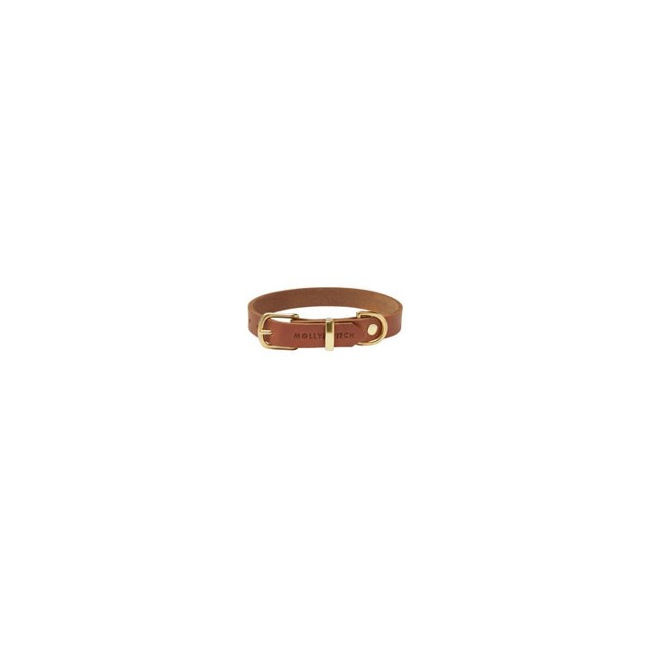 Molly &amp, Stitch Butter Leder Hundehalsband [Sahara Cognac/Gold - M: 32 - 38 cm x  20 mm]