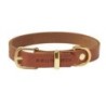 Molly &amp, Stitch Butter Leder Hundehalsband [Sahara Cognac/Gold - M: 32 - 38 cm x  20 mm]