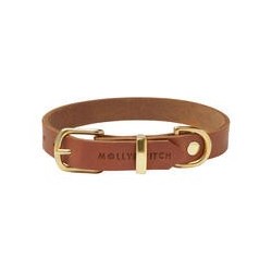Molly &amp, Stitch Butter Leder Hundehalsband [Sahara Cognac/Gold - XL: 42 - 48 cm x 30 mm]