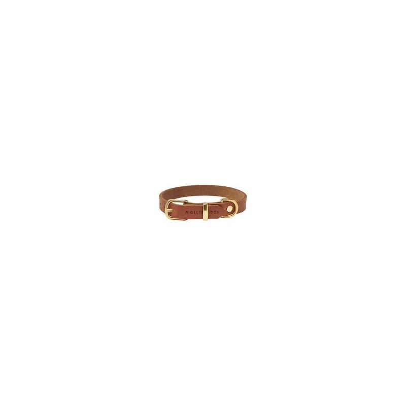 Molly &amp, Stitch Butter Leder Hundehalsband [Sahara Cognac/Gold - XL: 42 - 48 cm x 30 mm]