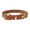 Molly &amp, Stitch Butter Leder Hundehalsband [Sahara Cognac/Gold - XL: 42 - 48 cm x 30 mm]