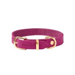 Molly &amp, Stitch Butter Leder Hundehalsband [Flamingo/Gold - S: 28 - 32 cm x 12 mm]