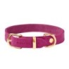 Molly &amp, Stitch Butter Leder Hundehalsband [Flamingo/Gold - S: 28 - 32 cm x 12 mm]