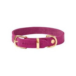 Molly &amp, Stitch Butter Leder Hundehalsband [Flamingo/Gold - M: 32 - 38 cm x  20 mm]
