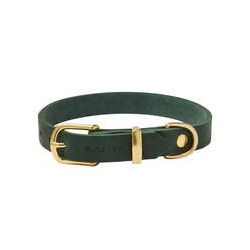 Molly &amp, Stitch Butter Leder Hundehalsband [Waldgrün/Gold - S: 28 - 32 cm x 12 mm]