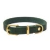 Molly &amp, Stitch Butter Leder Hundehalsband [Waldgrün/Gold - S: 28 - 32 cm x 12 mm]