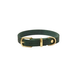 Molly &amp, Stitch Butter Leder Hundehalsband [Waldgrün/Gold - L: 36 - 42 cm x 20 mm]