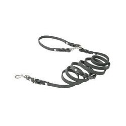 Molly &amp, Stitch Butter 3x verstellbare Leder Hundeleine [Zeitlos Grau/Silber - 2 m x 12 mm]