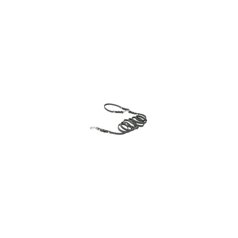 Molly &amp, Stitch Butter 3x verstellbare Leder Hundeleine [Zeitlos Grau/Silber - 2 m x 16 mm]
