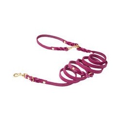 Molly &amp, Stitch Butter 3x verstellbare Leder Hundeleine [Flamingo/Gold - 2 m x 12 mm]