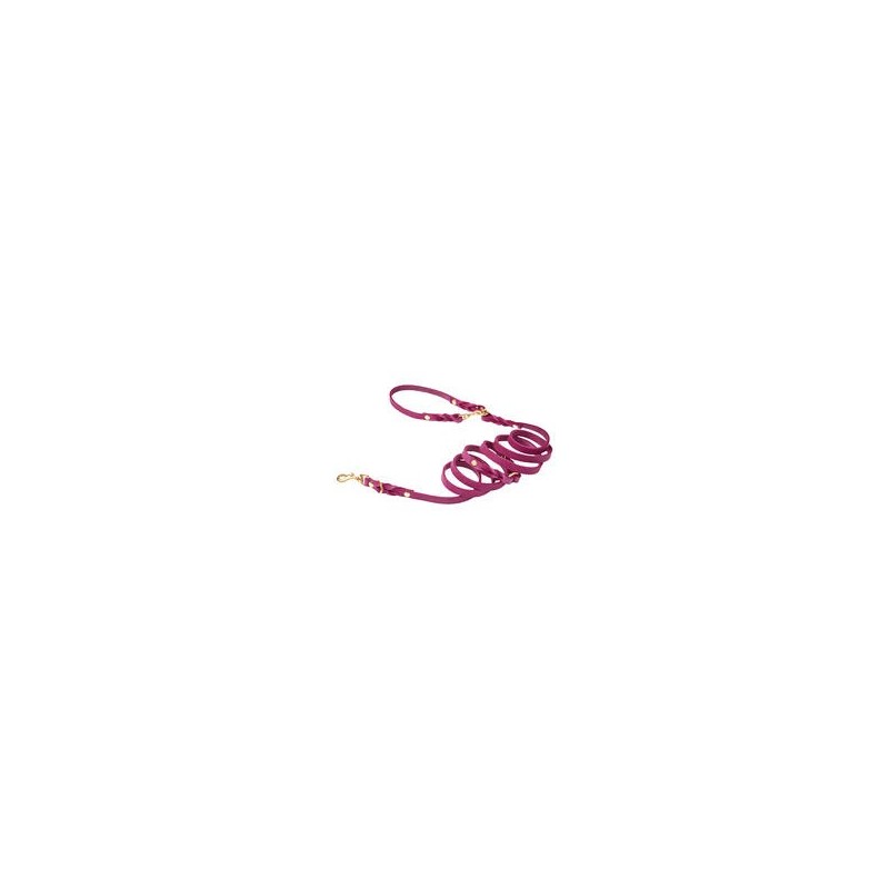 Molly &amp, Stitch Butter 3x verstellbare Leder Hundeleine [Flamingo/Gold - 2 m x 12 mm]