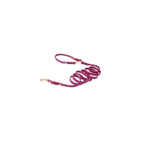 Molly &amp, Stitch Butter 3x verstellbare Leder Hundeleine [Flamingo/Gold - 2 m x 12 mm]