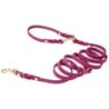 Molly &amp, Stitch Butter 3x verstellbare Leder Hundeleine [Flamingo/Gold - 2 m x 12 mm]