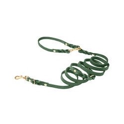 Molly &amp, Stitch Butter 3x verstellbare Leder Hundeleine [Waldgrün/Gold - 2 m x 12 mm]