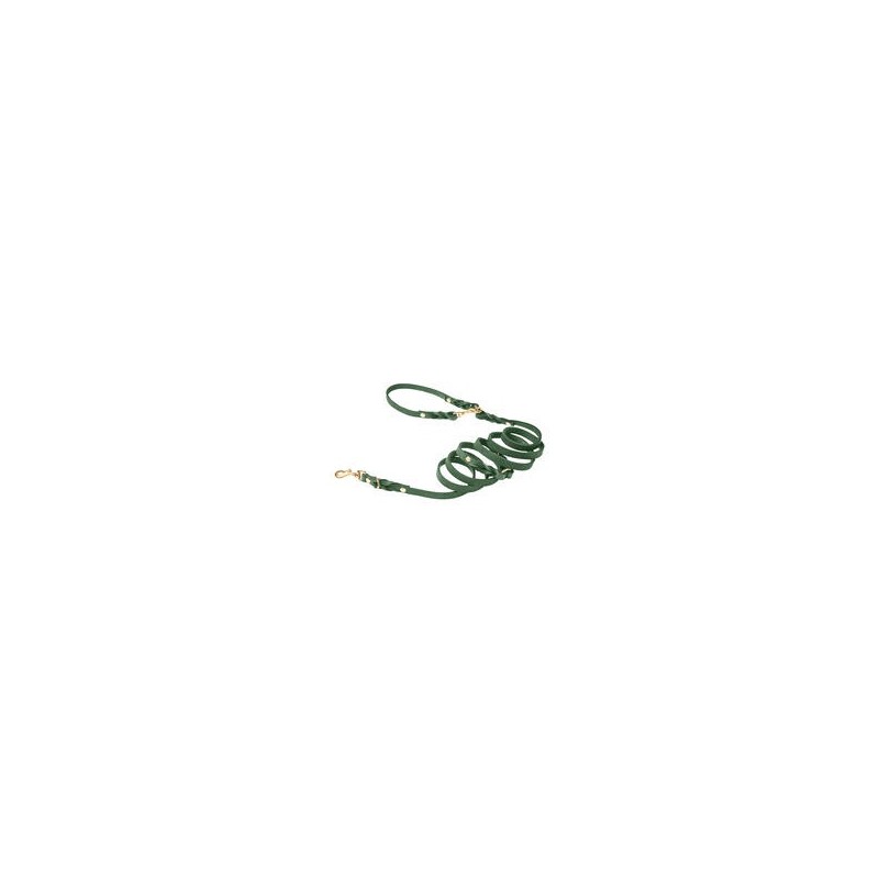 Molly &amp, Stitch Butter 3x verstellbare Leder Hundeleine [Waldgrün/Gold - 2 m x 12 mm]