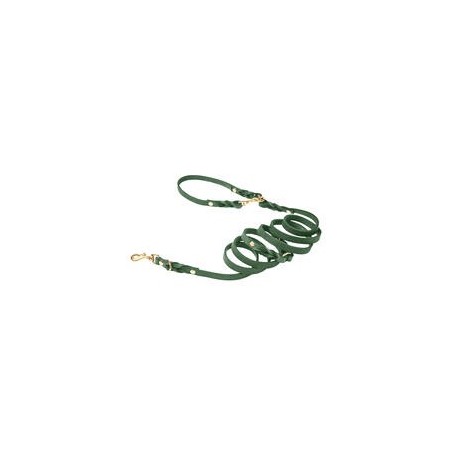 Molly &amp, Stitch Butter 3x verstellbare Leder Hundeleine [Waldgrün/Gold - 2 m x 12 mm]