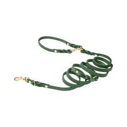 Molly &amp, Stitch Butter 3x verstellbare Leder Hundeleine [Waldgrün/Gold - 2 m x 16 mm]