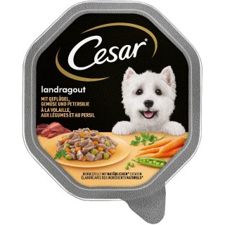 Megapack Cesar Schale 14 x 150 g - Landragout mit Geflügel, Gemüse und Petersilie in Sauce
