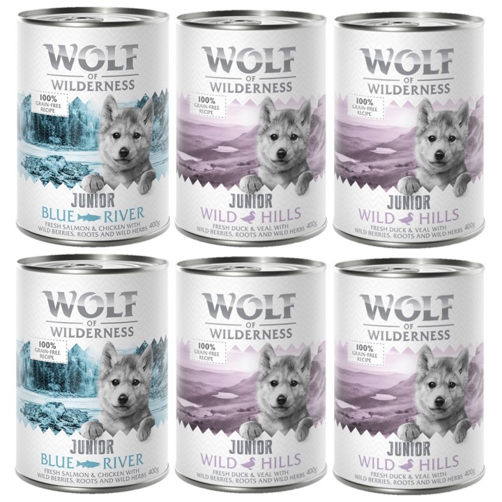 Wolf of Wilderness JUNIOR - Mixpaket - 6 x 400 g: 4x Ente & Kalb, 2x Huhn & Lachs
