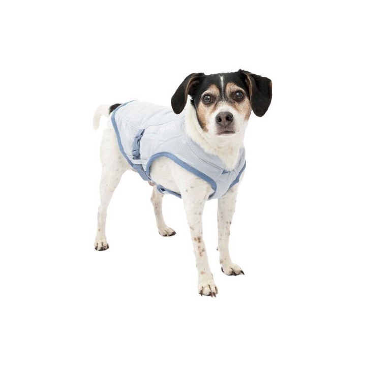 Kurgo Core Kühlweste - Eisblau/Sturmblau - S