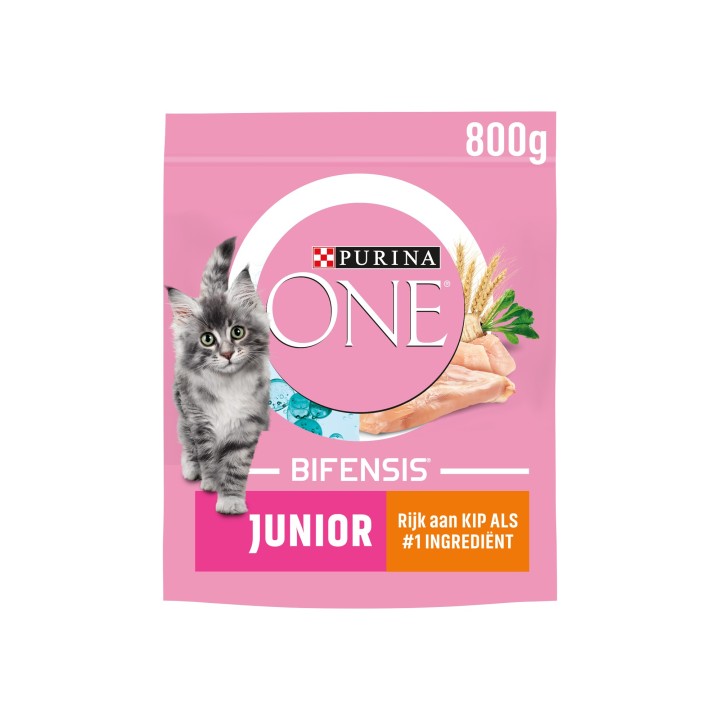 Purina ONE Junior - Huhn - 800 g