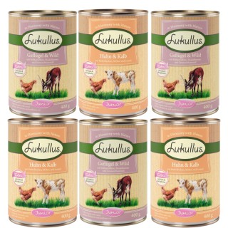 Lukullus Naturkost Junior 6 x 400 g Gemischtes Probierpaket
