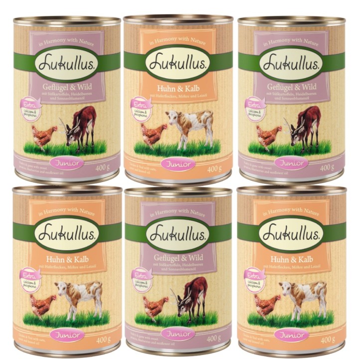 Lukullus Naturkost Junior 6 x 400 g Gemischtes Probierpaket