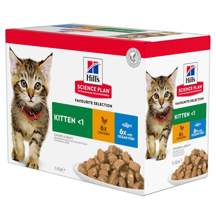 Hill's Science Plan Kitten  - Fischauswahl (12 x 85 g)