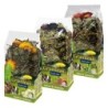 JR Farm Grainless Snack plus Paket - 3-teilig (300 g)