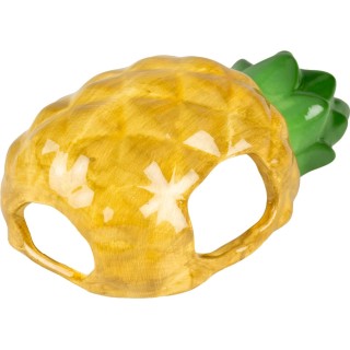 Duvoplus Nagetierhaus Stone pineapple - 1 Stk