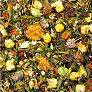 JR Farm Degu-Spezial - 1,50 kg