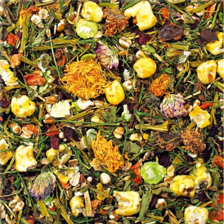 JR Farm Degu-Spezial - 1,50 kg