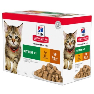 Hill's Science Plan Kitten  - Sparpaket: Geflügelauswahl (24 x 85 g)